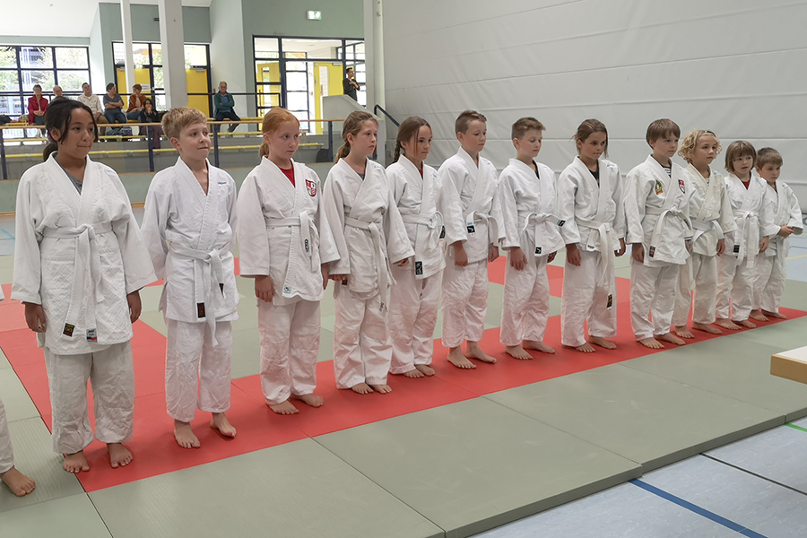 schnupperkurs-beginnt-wieder